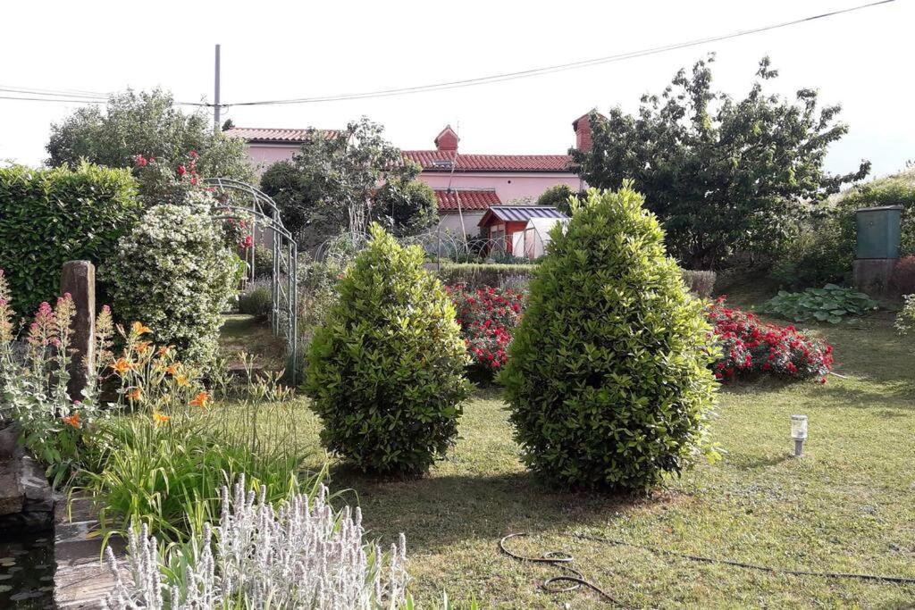 Apartma Oljka Pomjan Šmarje 외부 사진